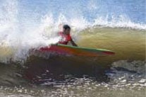 I went surfing!