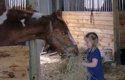Community Options is proposing to acquire an operational riding stable