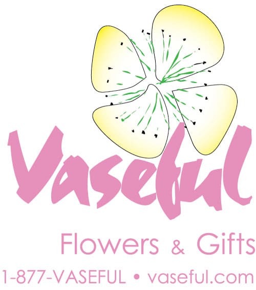 Vaseful Flowers & Gifts 1-877-VASEFUL • vaseful.com Logo