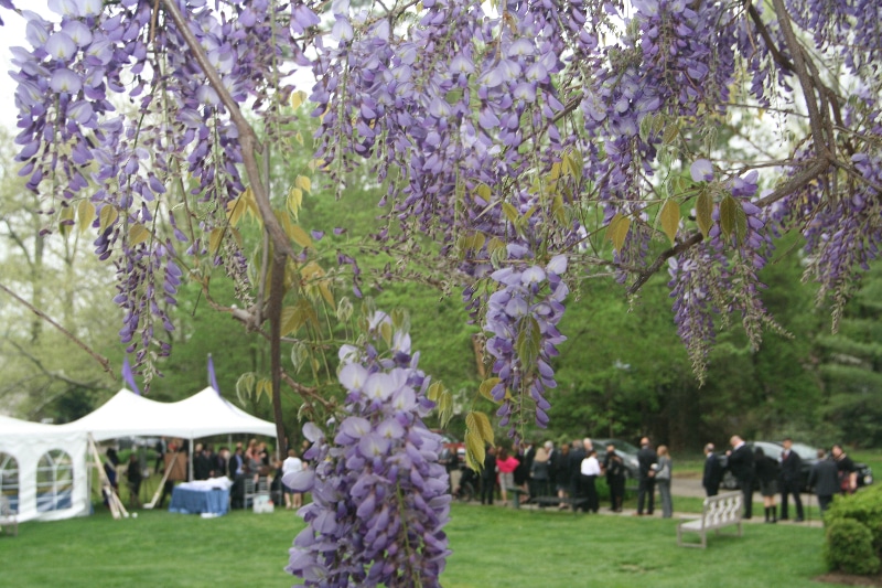 On May 8, 2014 Community Options celebrated their 25th anniversary at Morven Museum in Princeton, NJ. The nonprofit also honored New Jersey’s 48th Governor, Thomas Kean for his service to people with disabilities during his time in office.