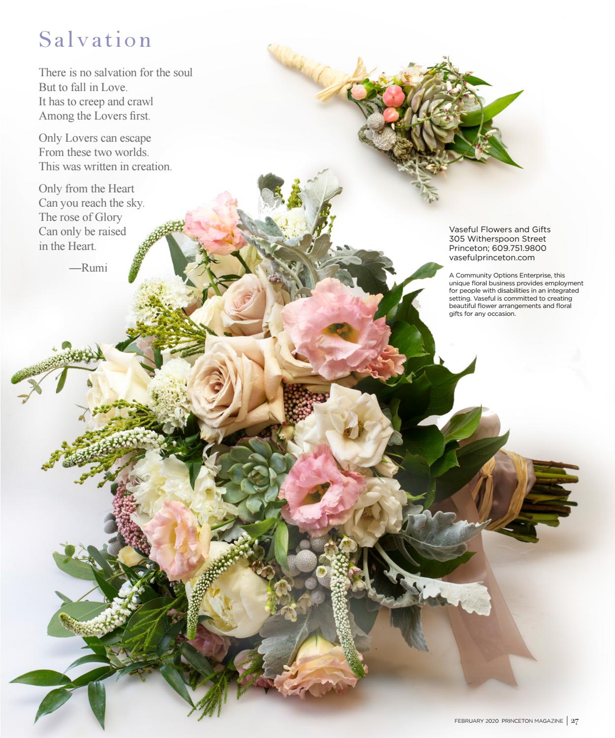 princetonmagazine.com
