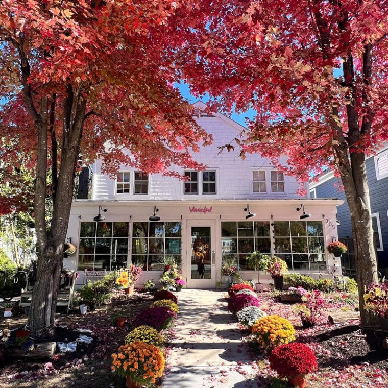 Vaseful Flowers & Gifts 305 Witherspoon Street Princeton, NJ 08542 Exterior storefront in fall with beautiful fall leaves and potted flowers along the path to the buildings entrance