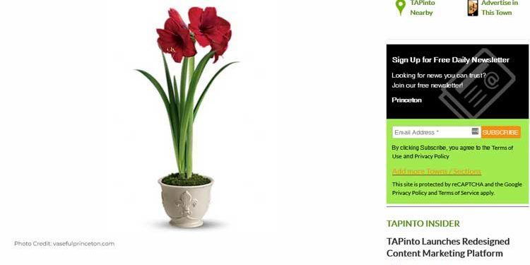 tapinto.net