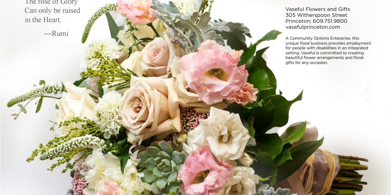 princetonmagazine.com